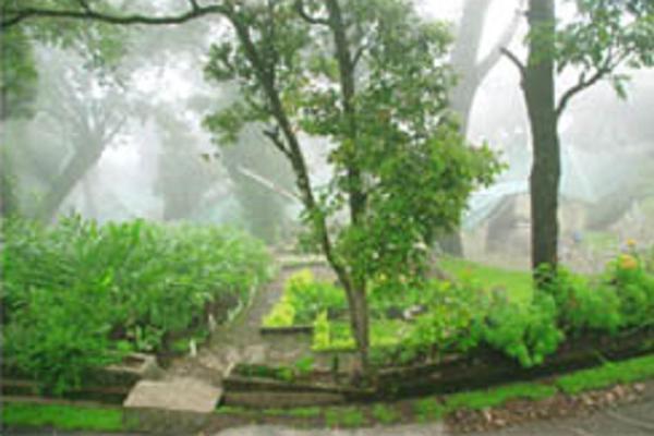 Great Escapes Resorts Munnar Bagian luar foto